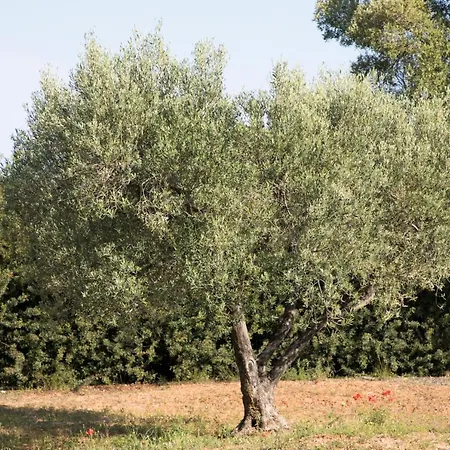 Apartamento Kahlenberg *