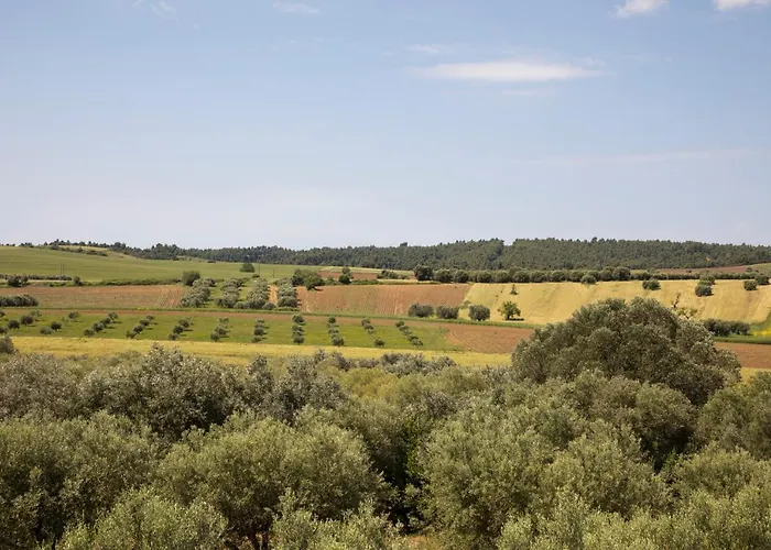 Kahlenberg Afytos