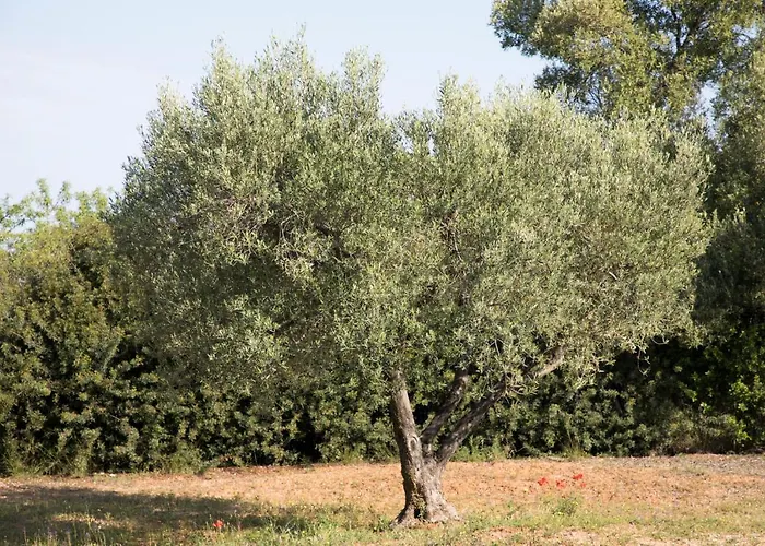 Appartamento Kahlenberg *