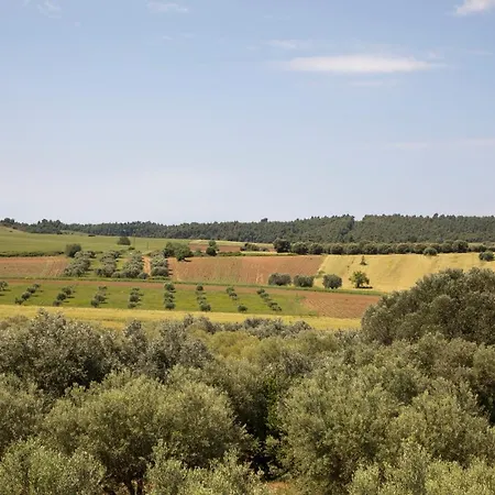 Kahlenberg Afytos